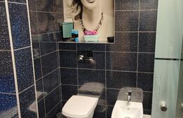 Apartament 3 camere, spatios, luminat zona Astra