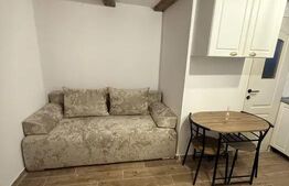 Garsonieră 15mp, prima închiriere, singur în curte cu terasă