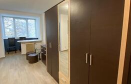 Garsoniera, 32 mp utili, recent renovata, zona strazii C-tin Brancusi