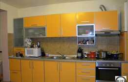 Duplex in zona Grigorescu, mobilat utilat! Acces foarte facil!