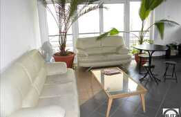 Vanzare imobil recent renovat cu 564 mp utili!