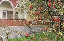 Teren 4340 mp intravilan, cu casa veche, Tureni