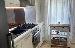 Apartament 2 camere, 53 mp, gradina si parcare, Buna Ziua