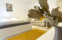 Studio modern de închiriat cu parcare + boxă, Bartolomeu