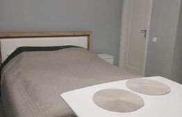 Apartament 1 camera la casa, parcare, 36 mp, zona Marasti