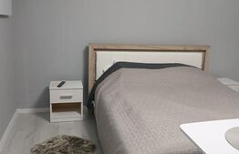 Apartament 1 camera la casa, parcare, 36 mp, zona Marasti