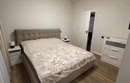 Exclusivitate ! Duplex 5 camere, Lux, 115 mp, 70 mp curte, Iazului