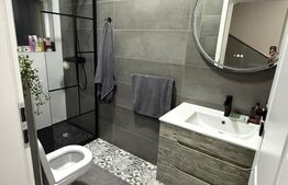 Exclusivitate ! Duplex 5 camere, Lux, 115 mp, 70 mp curte, Iazului