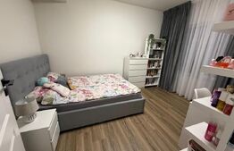 Exclusivitate ! Duplex 5 camere, Lux, 115 mp, 70 mp curte, Iazului