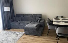 Exclusivitate ! Duplex 5 camere, Lux, 115 mp, 70 mp curte, Iazului