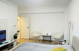 Apartament cu 1 camere, de vanzare, Tractorul