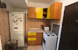 Garsoniera de vanzare, 24 mp, Tractorul