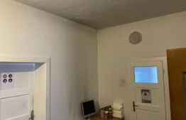 Oportunitate business: spațiu generos, multiple funcțiuni