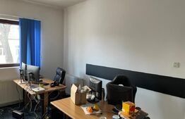 Oportunitate business: spațiu generos, multiple funcțiuni