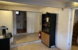 Oportunitate business: spațiu generos, multiple funcțiuni