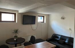 Oportunitate business: spațiu generos, multiple funcțiuni