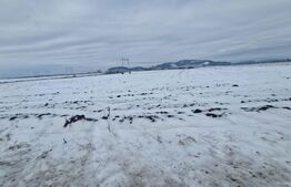 Teren de vânzare Florilor - 186343TV | BLITZ Brașov | Poza1