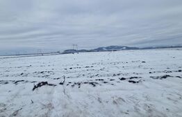 Teren extravilan arabil pretabil investitie casa sau afacere