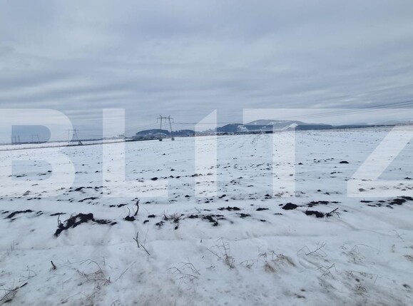 Teren de vânzare Harman - 185983TV | BLITZ Brașov | Poza4