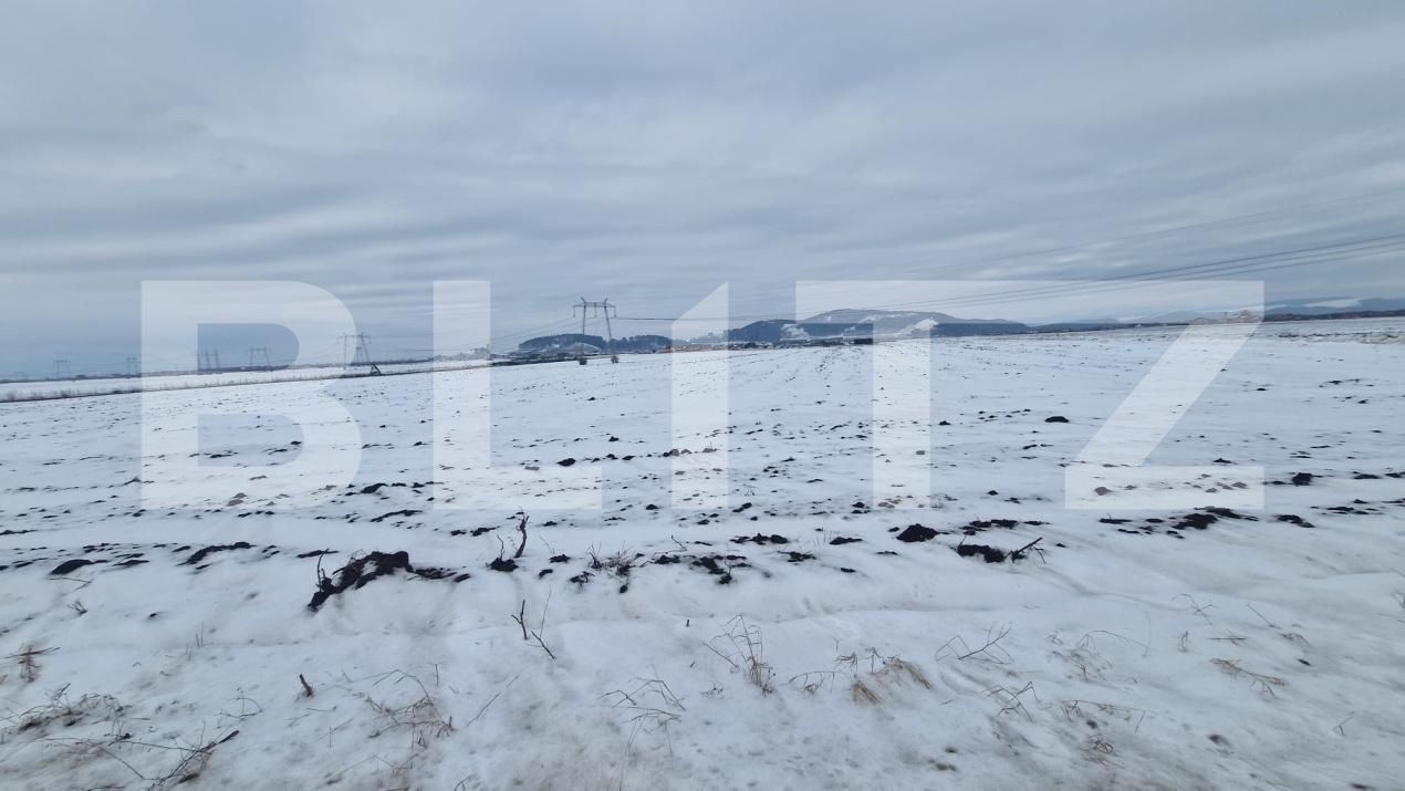 Teren de vânzare Harman - 185983TV | BLITZ Brașov | Poza4