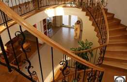 Un imobil unic cu 12 camere in zona Grigorescu!