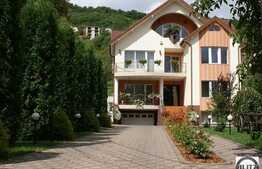 Un imobil unic cu 12 camere in zona Grigorescu!