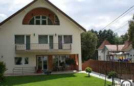 Un imobil unic cu 12 camere in zona Grigorescu!