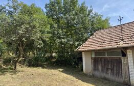 Casa renovabilă 87 mp utili, teren de 4.300 mp, in Suatu