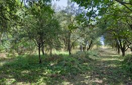 Casa renovabilă 87 mp utili, teren de 4.300 mp, in Suatu