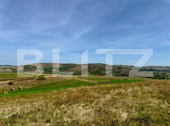 Casa de vânzare 3 camere Exterior Est - 186016CV | BLITZ Cluj-Napoca | Poza4