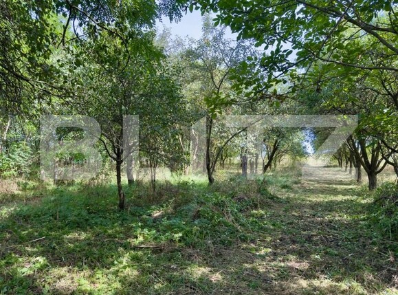 Casa de vânzare 3 camere Exterior Est - 186016CV | BLITZ Cluj-Napoca | Poza3