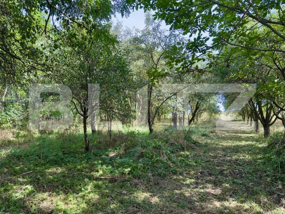 Casa de vânzare 3 camere Exterior Est - 186016CV | BLITZ Cluj-Napoca | Poza3