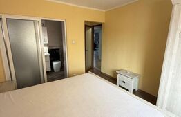 Apartament 3 camere spațios, renovat recent | Centrul Civic