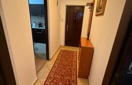 Apartament 1 camera, 35 mp, parcare, zona strazii Plevnei