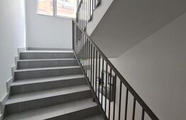 2 camere, bucatarie inchisa, zona Teilor