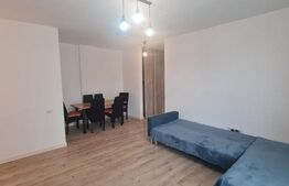 2 camere, bucatarie inchisa, zona Teilor