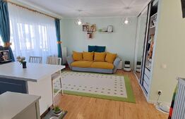 Apartament cu 2 camere, 44 mp, etajul 1 din 2, parcare cu CF, zona Tineretului