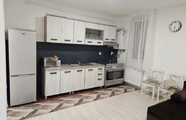 Apartament semidecomandat, mobilat si utilat, zona Eroilor