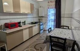 Apartament cu o camera, 45 mp, terasa, zona Fabricii