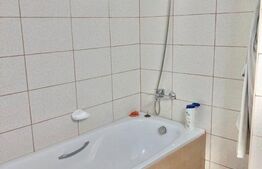 Apartament cu o camera, 45 mp, terasa, zona Fabricii