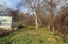 Casă Individuală cu 1.723 mp Teren și Livadă, Zona Grigorescu