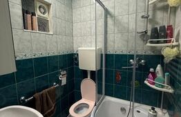 Casă Individuală cu 1.723 mp Teren și Livadă, Zona Grigorescu