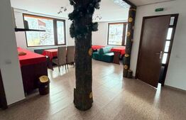 Pensiune de vânzare în Predeal – Proprietate ideală pentru investiție turistică
