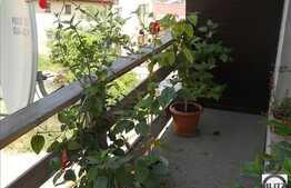 Casa la pret de apartament in Grigorescu!