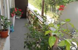 Casa la pret de apartament in Grigorescu!