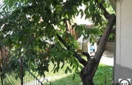 Casa la pret de apartament in Grigorescu!