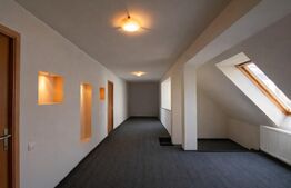 Spatiu comercial 220mp, alimentatie publica, Piata Muzeului