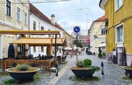 Spatiu comercial 220mp, alimentatie publica, Piata Muzeului