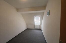 Spatiu comercial 220mp, alimentatie publica, Piata Muzeului