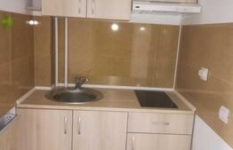 OPORTUNITATE DE INVESTITIE! Pachet de 2 garsoniere in Marasti!